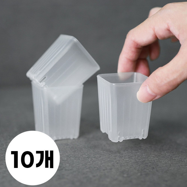 미니 투명 플라스틱 슬릿화분 사각, 10개