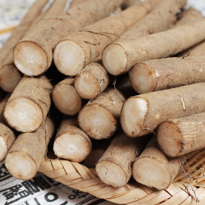 [푸르젠] 향긋한 안동 우엉, 1개, 2kg (중품)