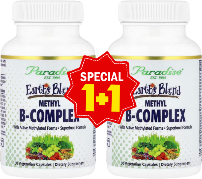 1+1 파라다이스허브 비타민B 복합체 베지 캡슐 60정, 2개