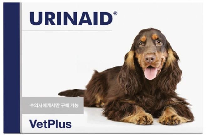 벳플러스 강아지 유리네이드 영양보조제, 80g, 유리너리+장건강, 1개 - 쿠팡