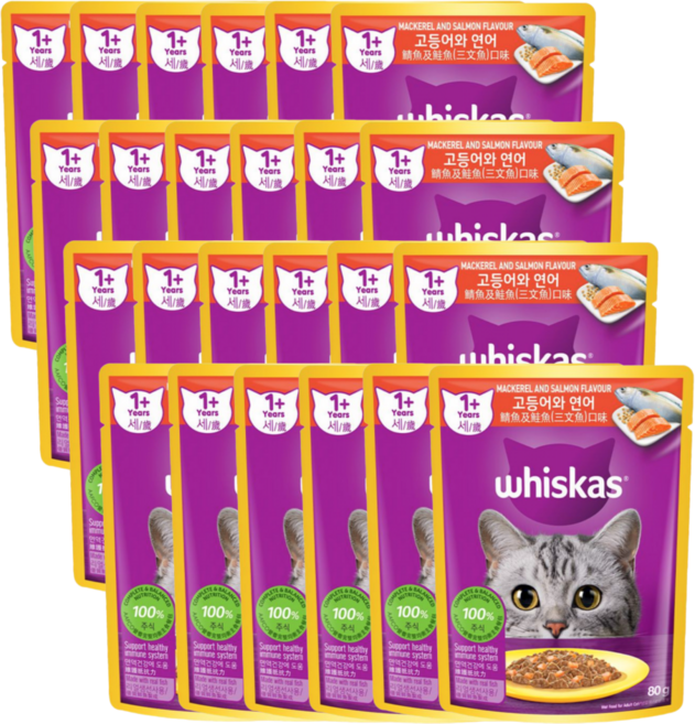 위스카스 고등어와연어 1세이상 습식 사료, 닭+연어+고등어, 80g, 24개