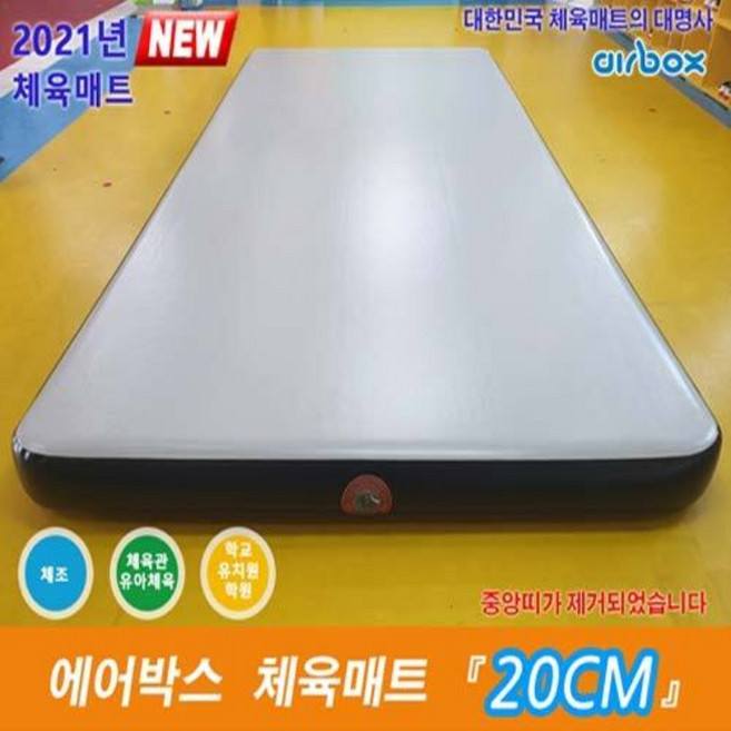 에어박스 에어매트-20cm, 블루／그레이, 1개