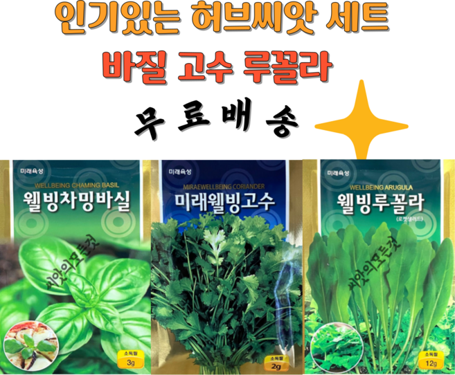 바질 루꼴라 고수씨앗 3종세트 동남아 이태리씨앗 허브종자, 1개