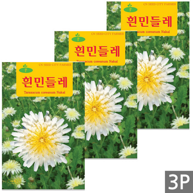 세인화분 흰색 민들레 100립 - 꽃씨 꽃씨앗 씨 씨앗, 3개