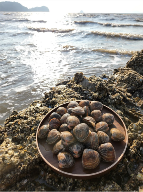 쪼팜 자연산 새조개 국산 손질, 1박스, 200g