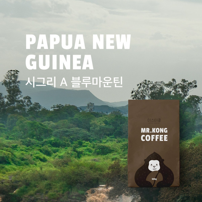 미스터콩 PNG 시그리A 블루마운틴 (당일로스팅 원두커피), 프렌치프레스, 500g, 1개