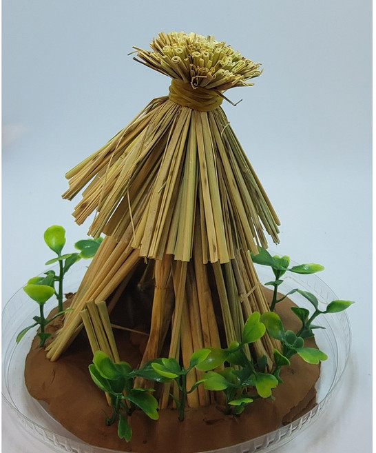 진클라스 신석기 움집 만들기 체험키트 초등 역사 교구, 1개