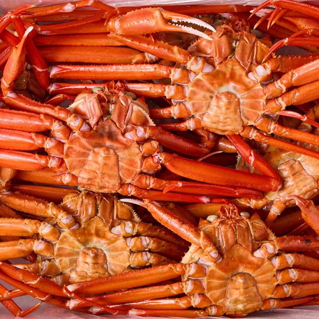 당일조업 수율 80-90% 울진 후포리 자숙홍게 프리미엄 육수용, 1개, 육수용자숙홍게 3kg (다리 수율 40%)