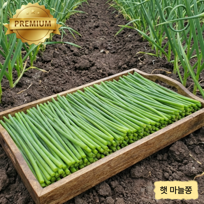 [특상품] 당일수확 2026 햇 남해 마늘쫑 국내산 수입산, 1개, 국내산 햇 마늘쫑 200g