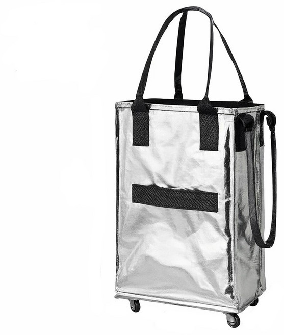 皓啃包 最新二代款 環保購物袋 買菜車 拖輪購物袋 折疊購物車 購物包, 亮銀色(Ｓ)登機款-50*34*20, 1個
