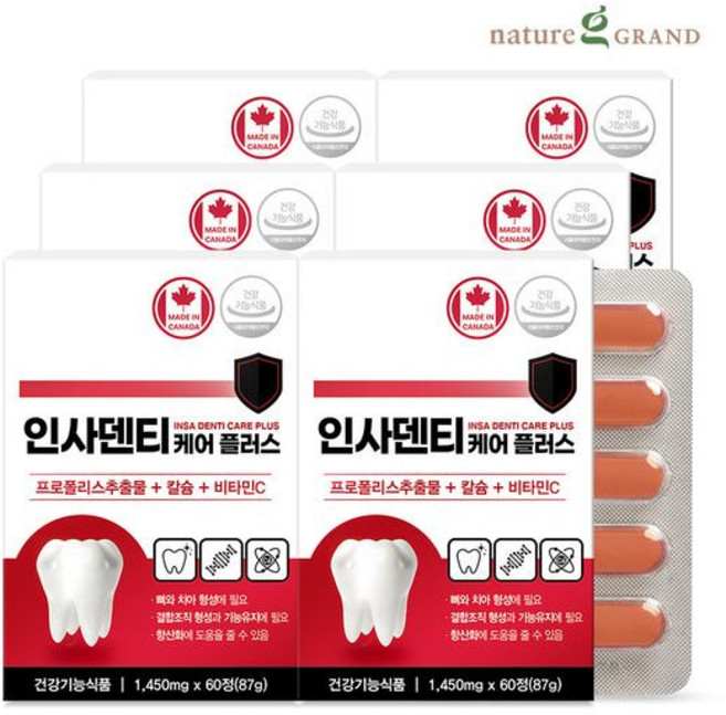 네이처그랜드 인사덴티 케어 플러스 6박스 12개월분 치아 뼈건강, 6개, 60정
