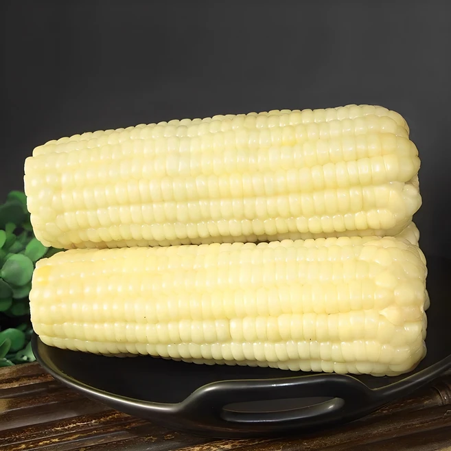 냉동 찰옥수수 맛있는 백찰 옥수수 특품 10개, 옥수수 - 쿠팡