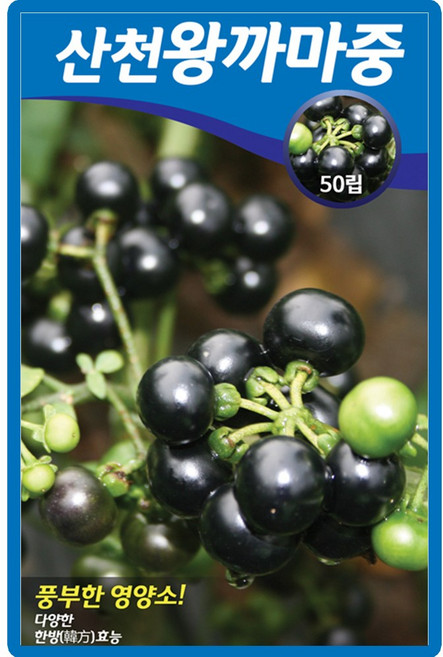 산들마켓 왕까마중 씨앗 0.05g 풍부한 영양 한방 효능 산천왕 까마중씨 종자, 2개