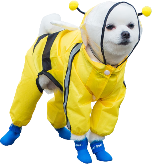 [라이프앤비] 강아지 우비 레인코트 올인원 우비 투명창 일체형 우비 소형견용, 꿀벌 옐로우, 1개