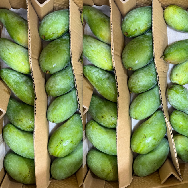 Vmart 베트남 그린 망고 xoai hat lep 3과내외 (소금 증정), 1개, 750g