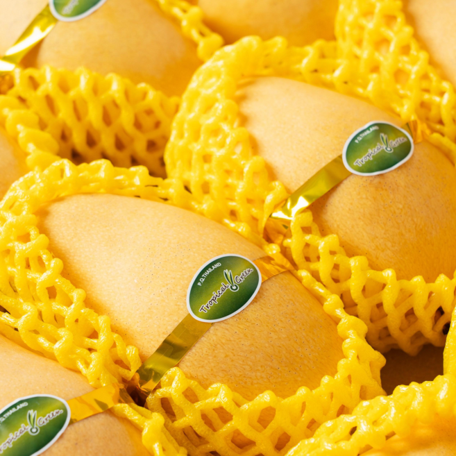 [항공직송] 남독마이 골드망고 고당도 프리미엄, 1박스, 2.5kg 내외 (9-10과 내외)