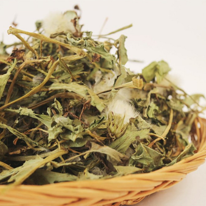 흰꽃민들레 200g _비량촌, 1개