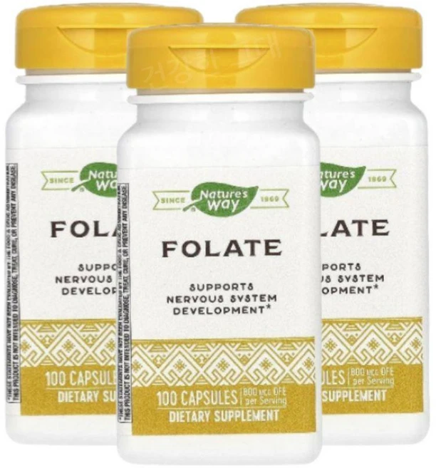 Natures Way 네이처스 웨이 엽산 800mcg Folic Acid, 100정, 3개 - 쿠팡