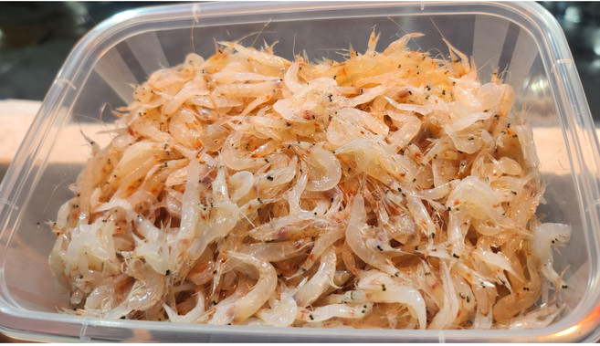 25년 11월 생산 (특)특산품 국내산 생물 김장생새우(동백하새우)400g 1kg 중, 1개