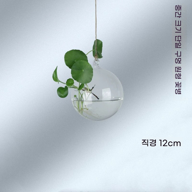 수경재배용 인테리어 소품 디자인 행잉유리볼 세트 유리화병 플랜테리어