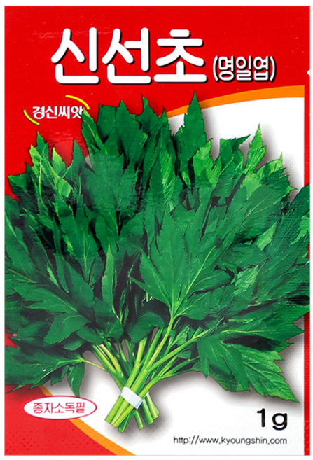 세인화분 국산 신선초 1g - 씨 씨앗 나물 명일엽 오복신선초, 1개
