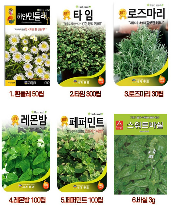 팜스마켓 허브씨앗 로즈마리 바질 타임 라벤다 허브종자 텃밭재배, 5.페퍼민트 100립, 1개