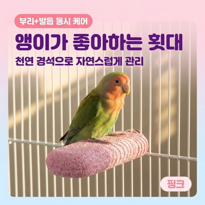 모래랩 앵무새 발 발톱 부리갈이 장난감 스톤 핑크, 1개