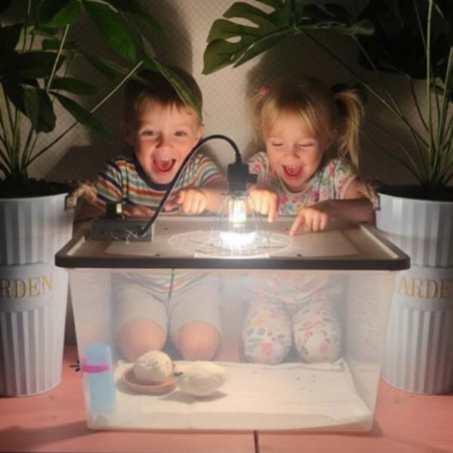 온도조절기장착 KC인증 병아리육추기XX6 . 병아리집 . 병아리육추기 . 미니메추리육추기 .앵무새 육추기 .병아리집 온도조절기포함 조립완제품, 1개