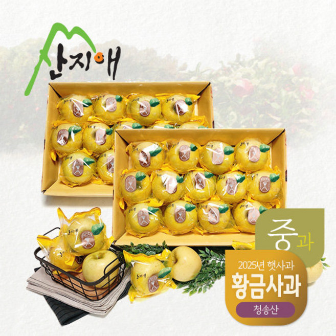 산지애 황금 사과 시나노골드 6kg (3kg*2박스), 2박스, 3kg(10~15과)
