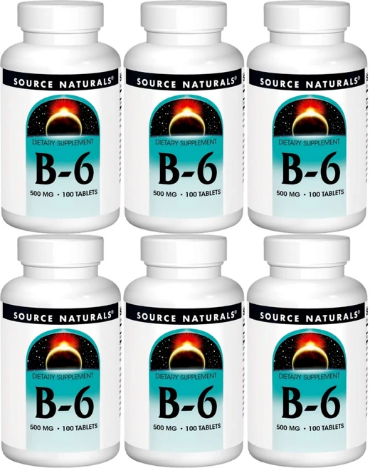 Source Naturals 소스내추럴스 엘 아르기닌 500mg 테블릿, 100정, 6개, 100정 - 쿠팡