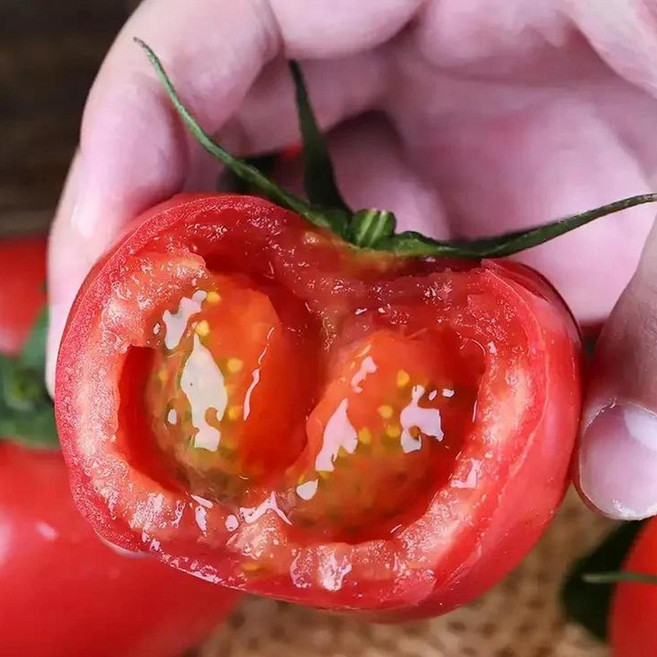 [상생할인]가성비판매 달콤농부 냉장고필수템 정품 완숙토마토, 1박스, 10kg