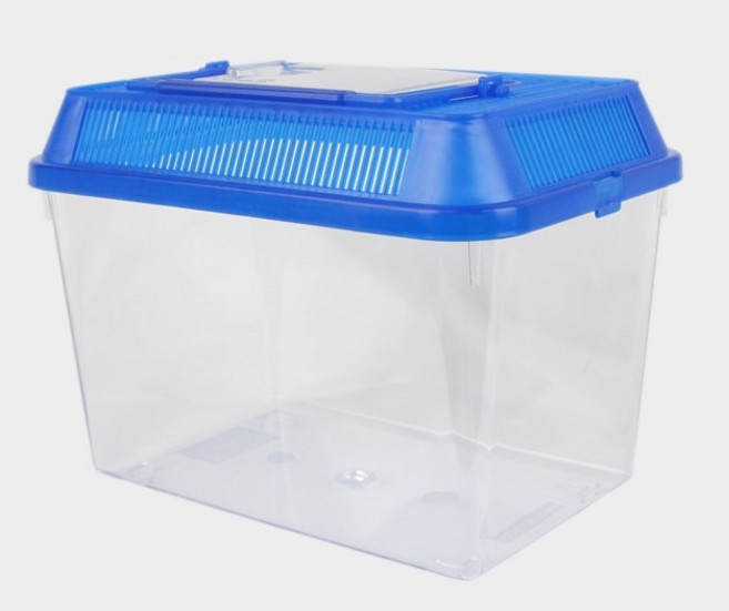 대일 채집통 (소) 곤충사육 치어 구피 베타, 1개