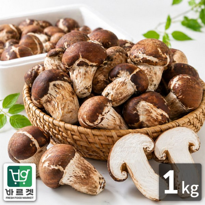 전라남도 나주 참바른 참송이 버섯 1kg 바르겟, 1개
