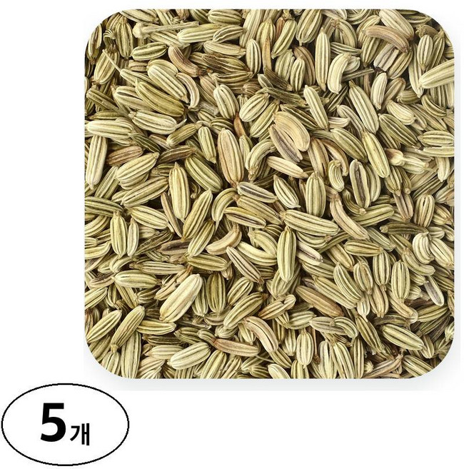 프론티어코옵 유기농 통 회향 씨, 453g, 5개