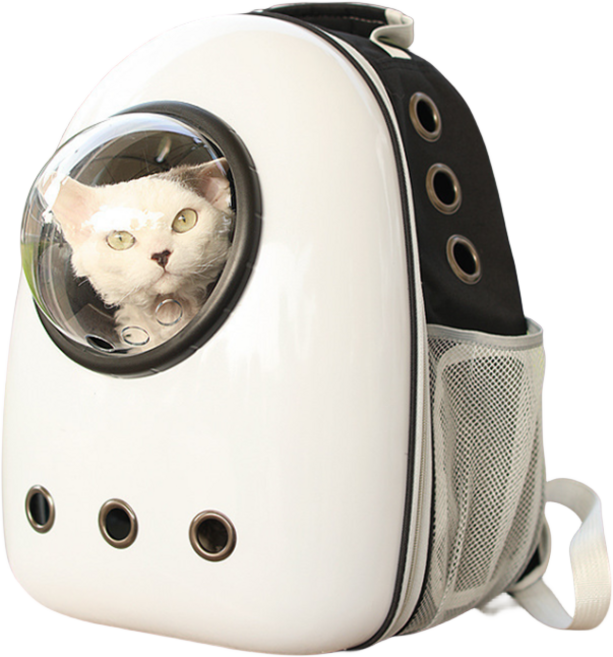 투명 배낭형 강아지 고양이 이동 가방강아지산책가방, 블랙, 1개