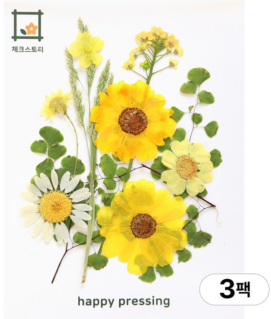 체크스토리 압화 컬러가든시리즈 누름꽃 꽃송이 압화재료 공예, 내츄럴옐로우10(3팩), 옐로우