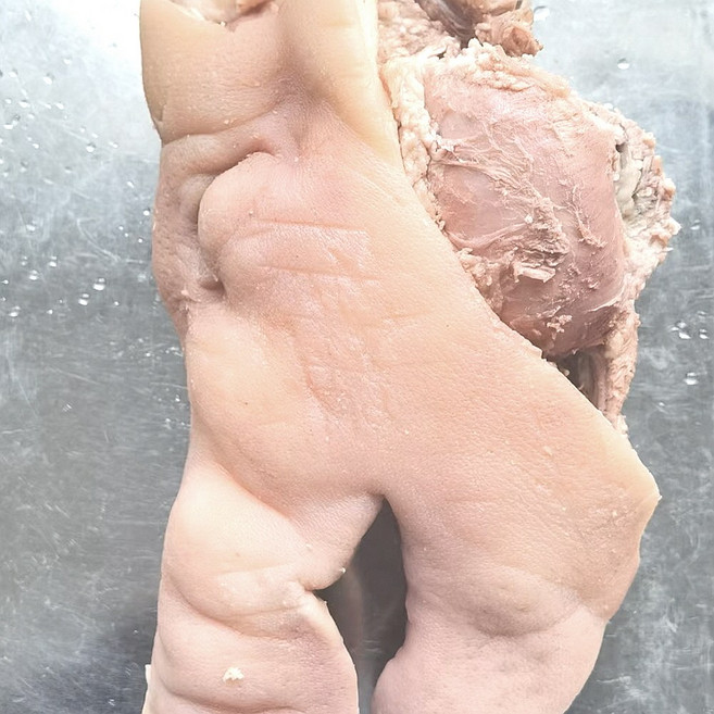 (배터짐) (특가도매)국내산 삶은 돼지머리 한마리분 3kg내외, 1개