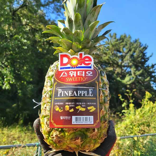 프리미엄 Dole 돌 스위티오 파인애플, 1박스, 3.6kg내외(3수)