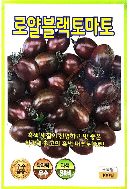 로얄블랙토마토씨앗 500립 24년 검은대추토마토 흑대추토마토씨앗, 1개
