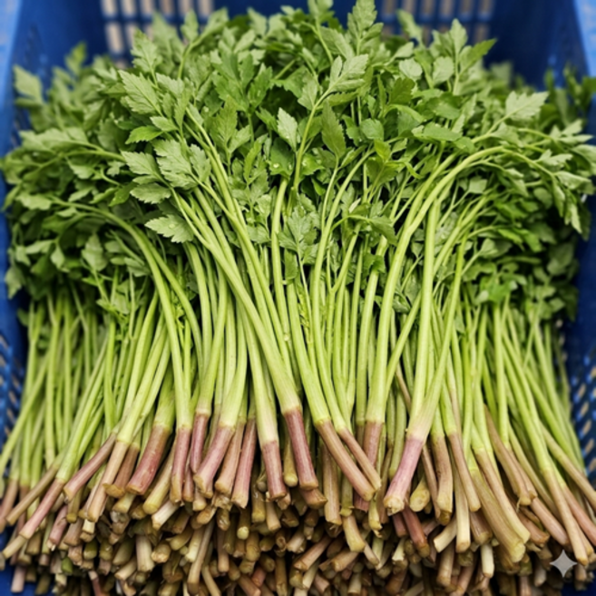 산지직송 무농약 청도 한재 미나리, 1박스, 2kg