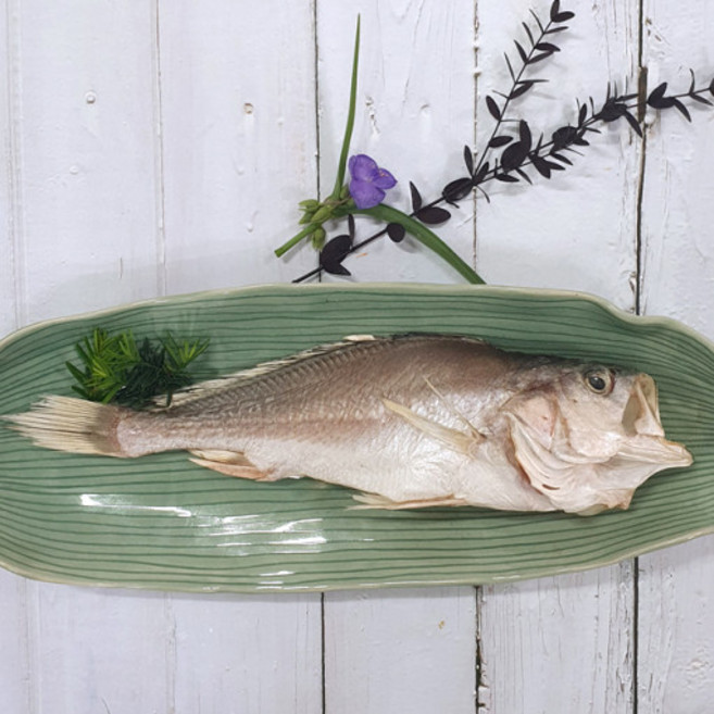 부산 반건조 생선 침조기 특대 제수용 선물용 이바지용, 1개, 1마리 38cm내외/380~460g기준