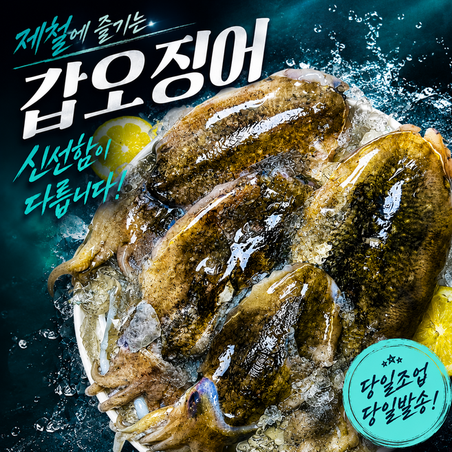 토해원 당일조업 산지직송 서해안 생물 활 갑오징어, 1개, 1kg