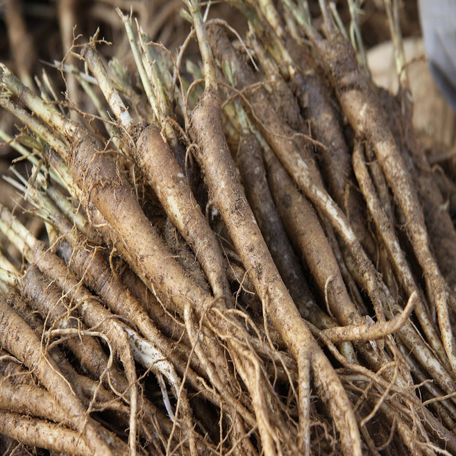 국산 도라지 약용 나물용 깐도라지 채도라지, 1개, 국산식용(나물용)도라지(중)1k