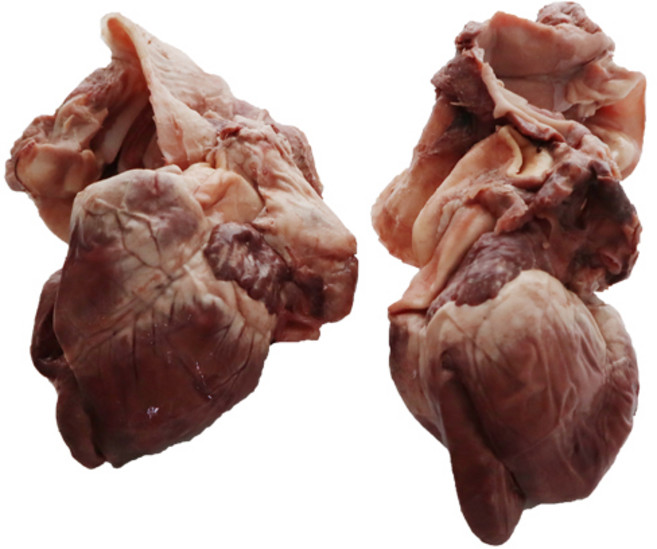 냉장 삶은 돼지 염통 한마리분 (울대포함) 약 300-400G 국내산, 300g, 1개