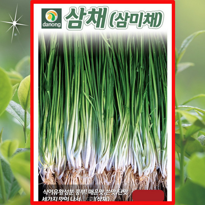 삼채 삼미채 100립 매운맛 쓴맛 단맛 식이유황성분 풍부, 1개