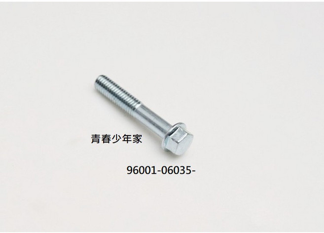 少年家 SYM 三陽 VEGA125 M6 35MM 傳動外蓋螺絲, 1個