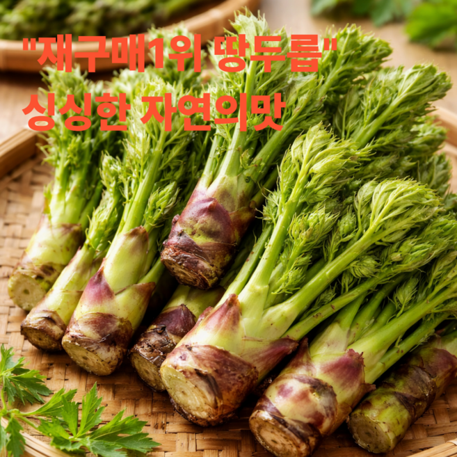 재구매1위 땅두릅 산지직송 자연산 특품, 1박스, 1kg