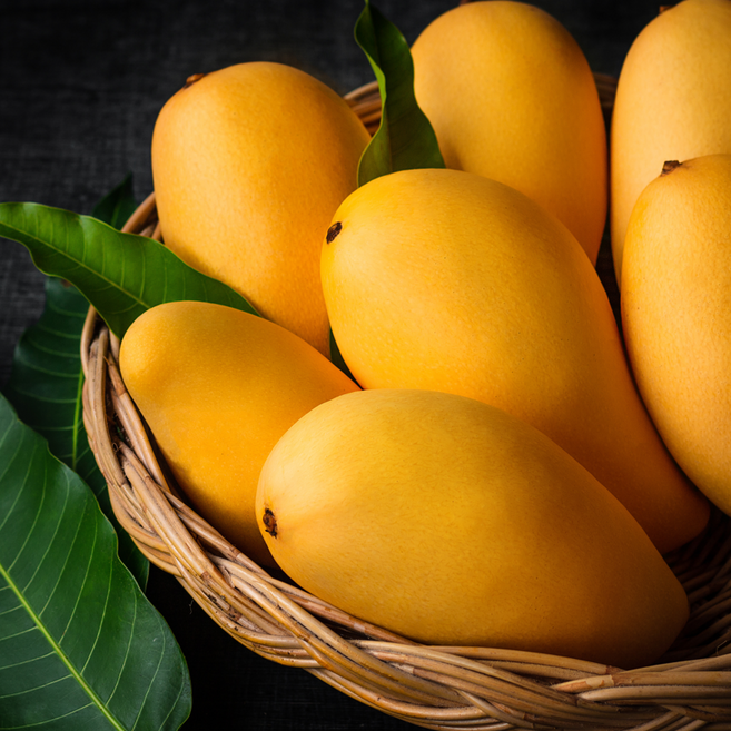 [항공직송] 남독마이 골드망고 고당도 프리미엄, 1박스, 2.5kg 내외 (9-10과 내외)