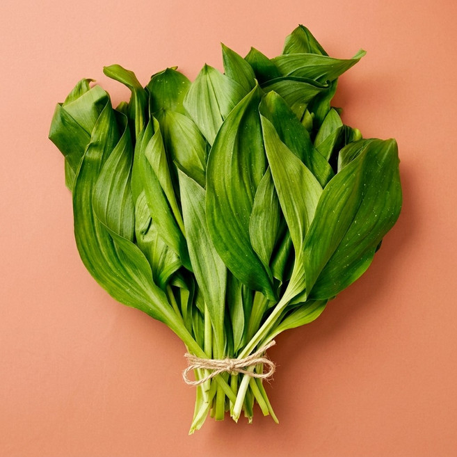 [무농약최상급] 자연산 국내산 제철 명이나물, 1개, 500g