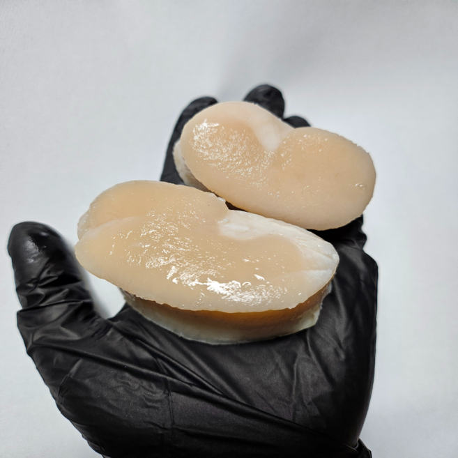 [냉동아님] 남해안 활 생물 키조개 통관자 5-6미 300g 횟감 주문즉시 손질, 1세트, 키조개 관자 300g